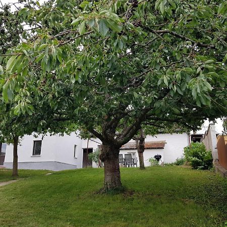 Maisonette Im Hof Krupp Bruchhausen  Екстер'єр фото