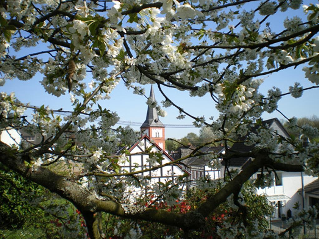 Maisonette Im Hof Krupp Bruchhausen  Екстер'єр фото